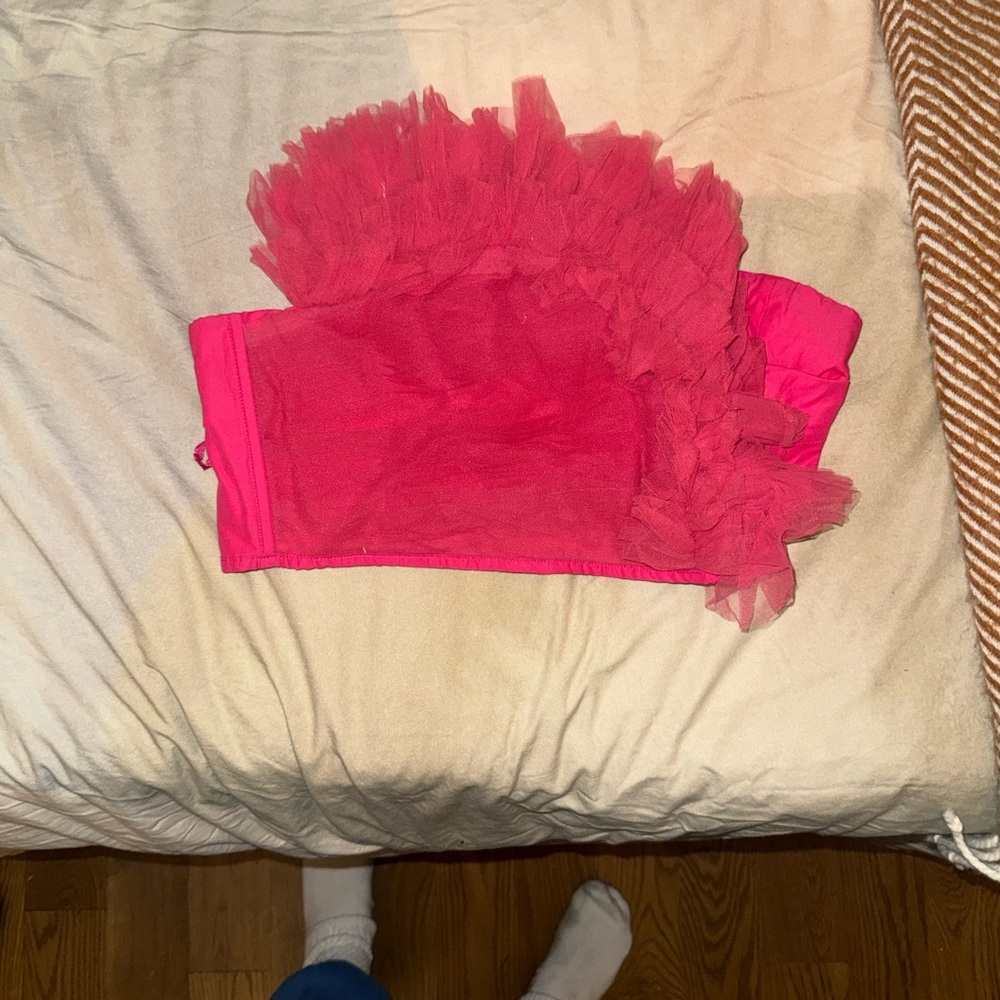 Ranna Gill Pink Ruffled Strapless Top - Picture 9 of 9